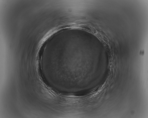 X0000091450295200708161303