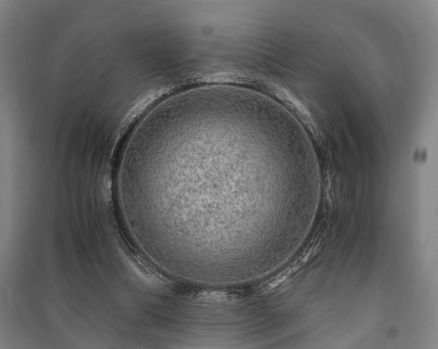 X0000091450298200708161303