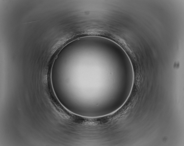 X0000091450299200708161303