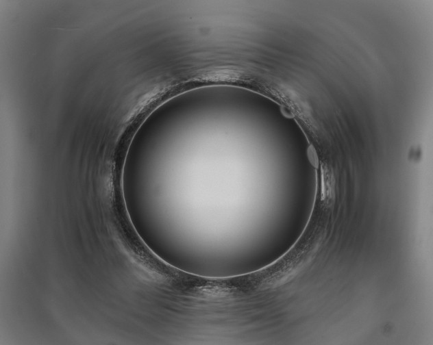 X0000091450300200708161303