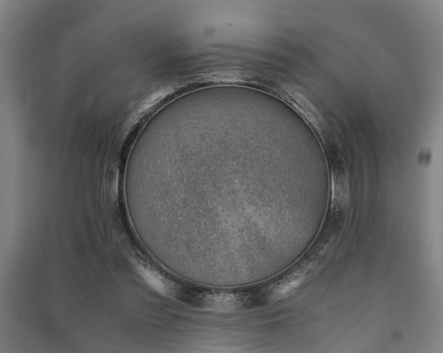 X0000091450301200708161303