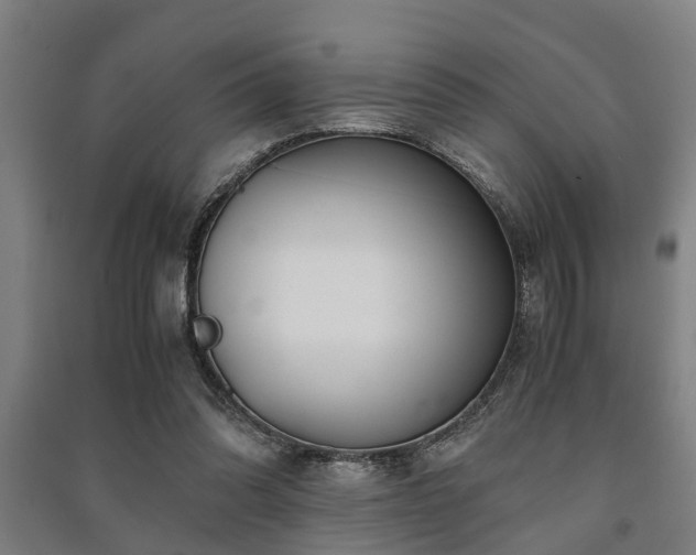 X0000091450302200708161303