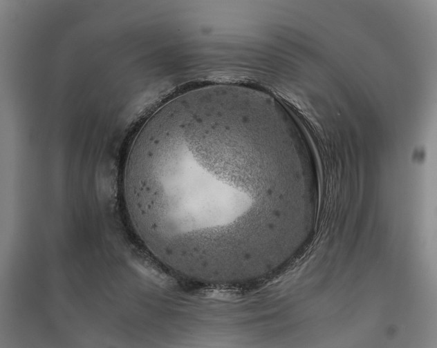 X0000091450303200708161303