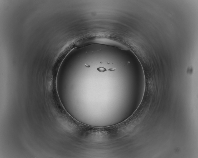X0000091450304200708161303