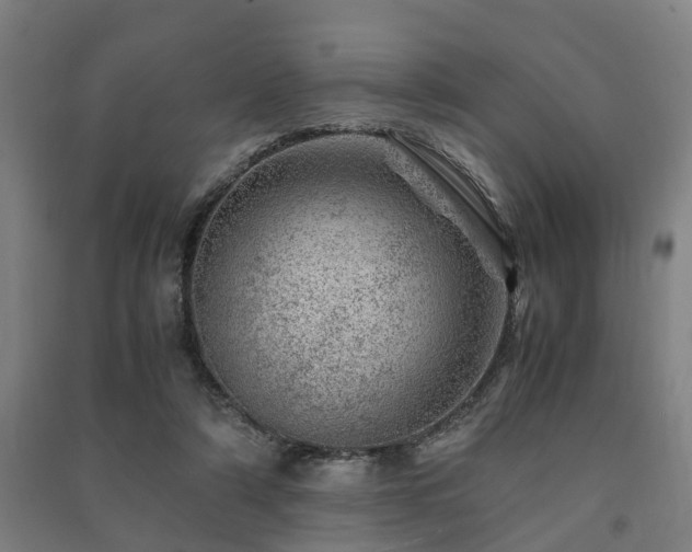 X0000091450306200708161303