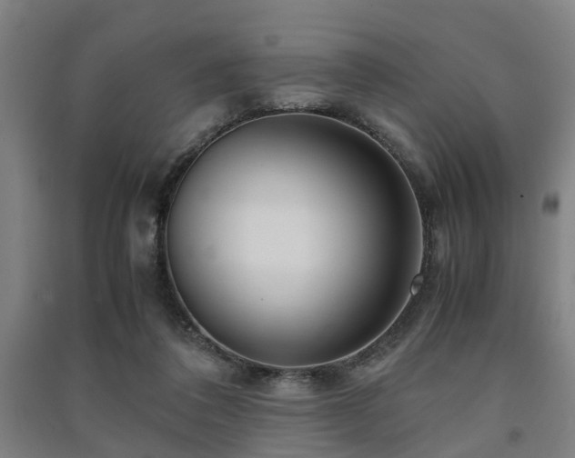 X0000091450308200708161303
