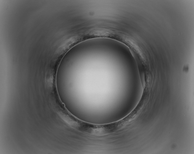 X0000091450309200708161303