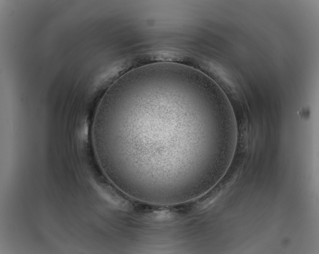 X0000091450310200708161303