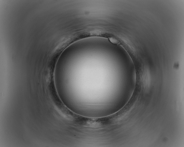X0000091450311200708161303