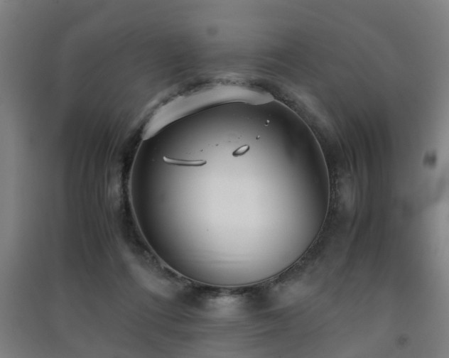 X0000091450312200708161303