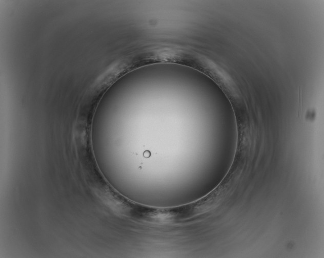 X0000091450313200708161303