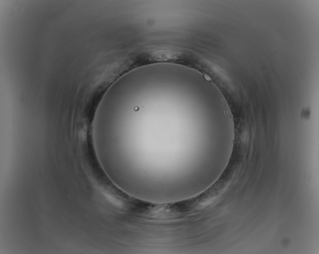 X0000091450315200708161303