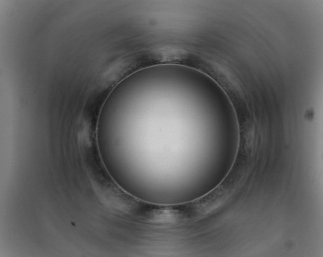 X0000091450316200708161303