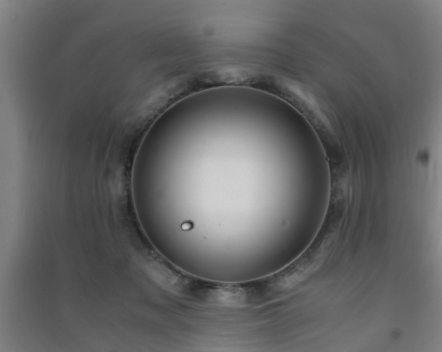 X0000091450317200708161303