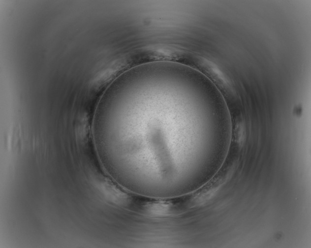X0000091450318200708161303