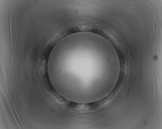 X0000091450319200708161303