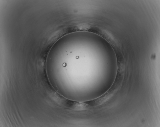 X0000091450321200708161303