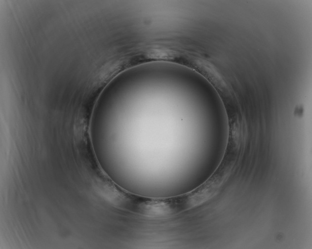 X0000091450322200708161303