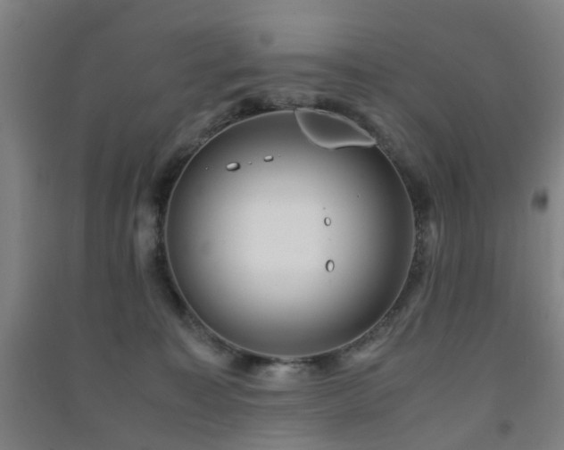 X0000091450323200708161303