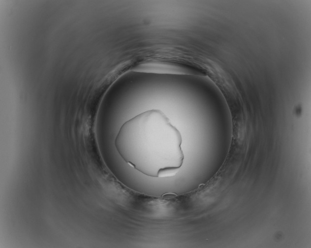 X0000091450326200708161303