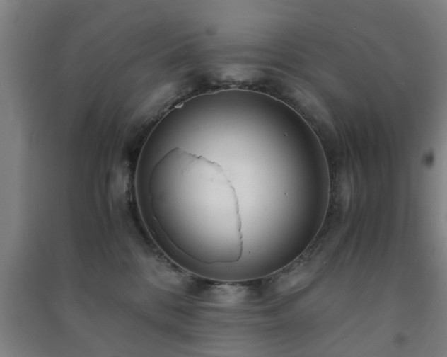 X0000091450328200708161303