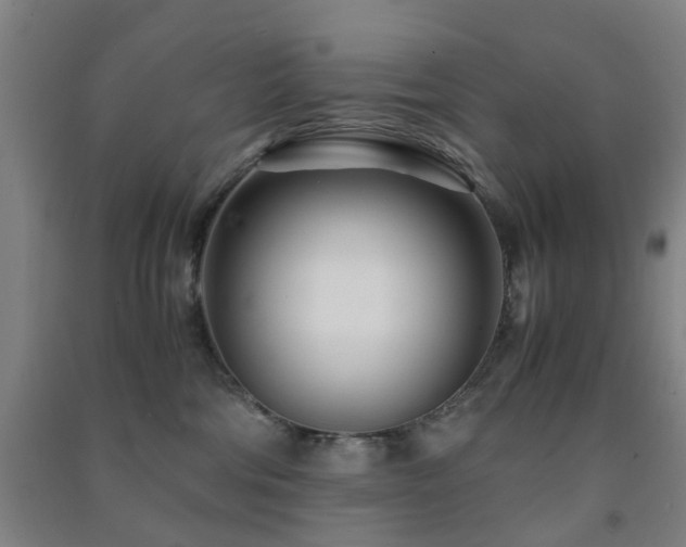 X0000091450330200708161303