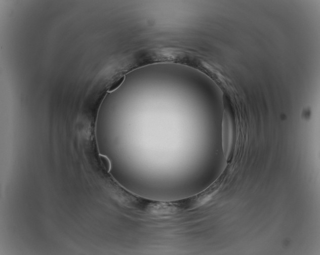 X0000091450331200708161303