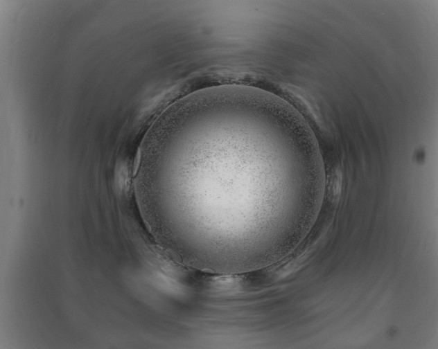 X0000091450335200708161303