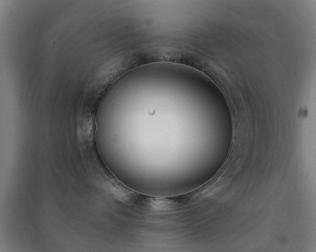 X0000091450336200708161303