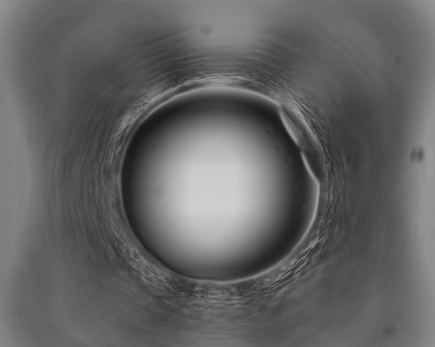 X0000091450337200708161302