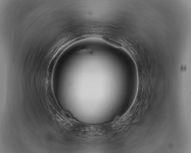 X0000091450338200708161302