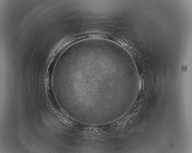 X0000091450339200708161302