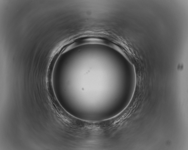 X0000091450340200708161302