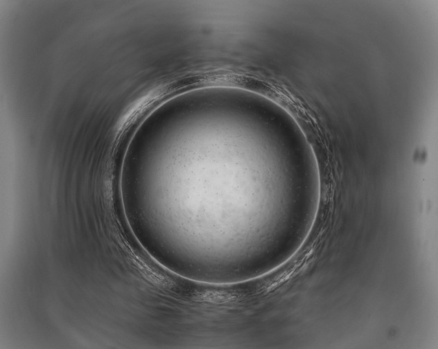 X0000091450341200708161302