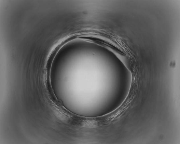 X0000091450342200708161302