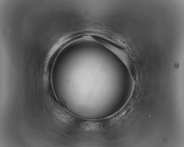 X0000091450343200708161302