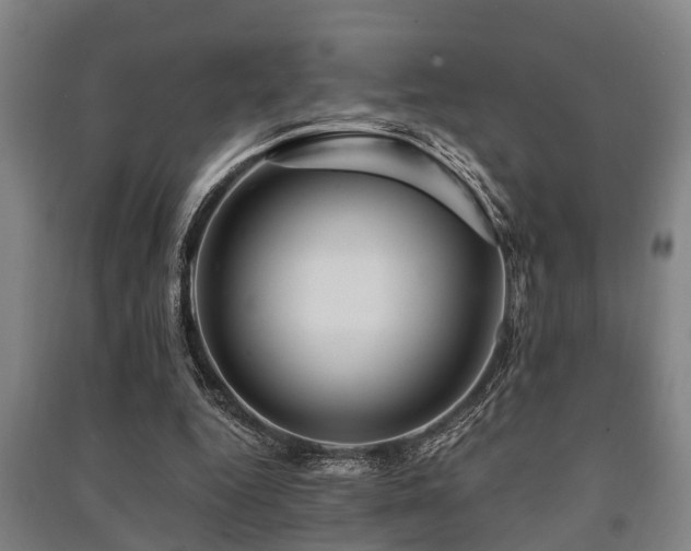 X0000091450344200708161302