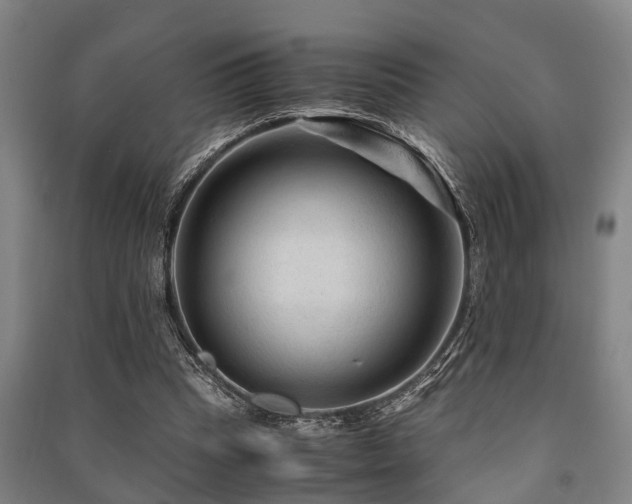 X0000091450345200708161302