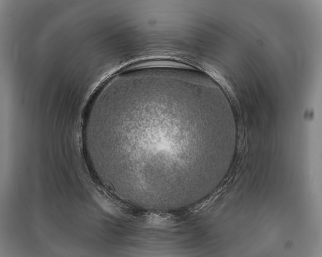 X0000091450346200708161302