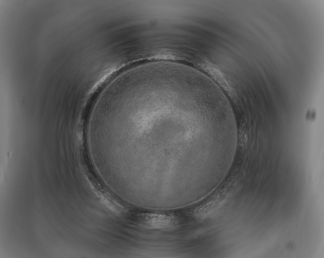 X0000091450347200708161302