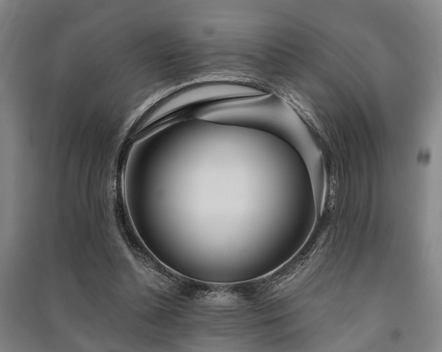 X0000091450348200708161302
