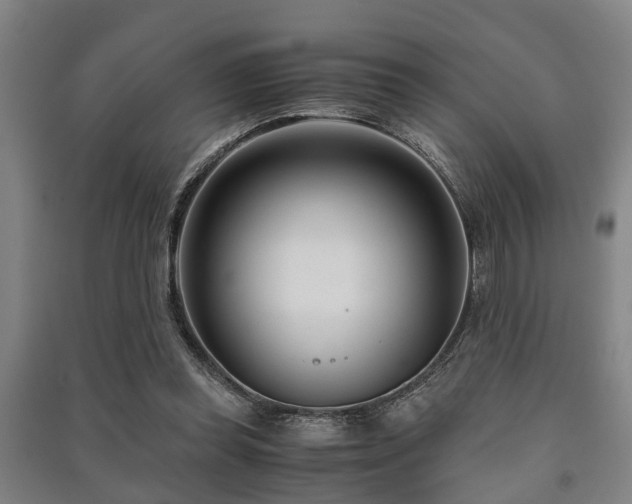 X0000091450349200708161302