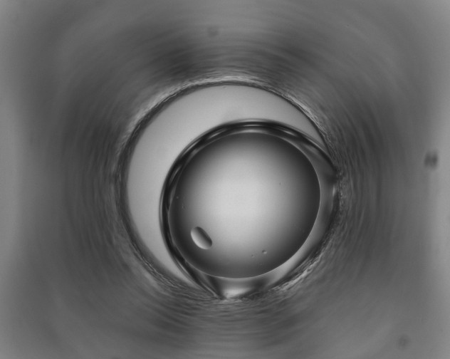 X0000091450350200708161302