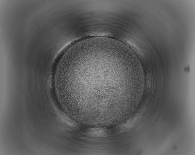X0000091450351200708161302
