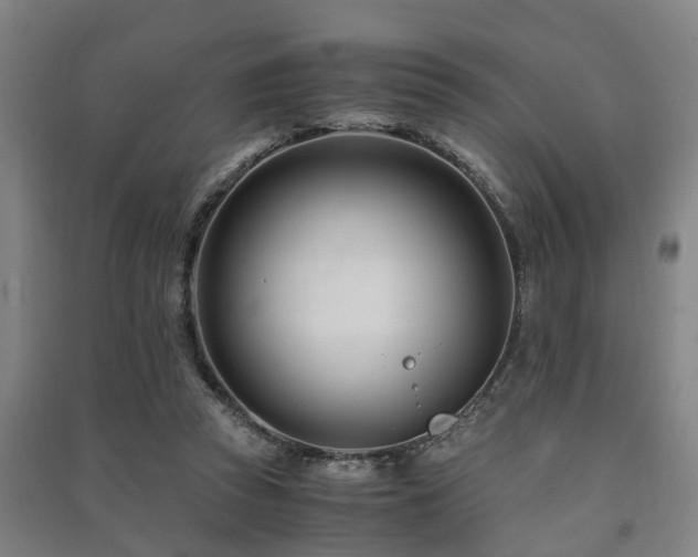 X0000091450353200708161302