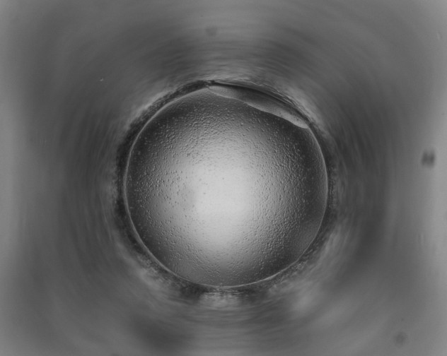 X0000091450354200708161302