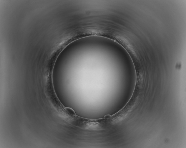X0000091450355200708161302