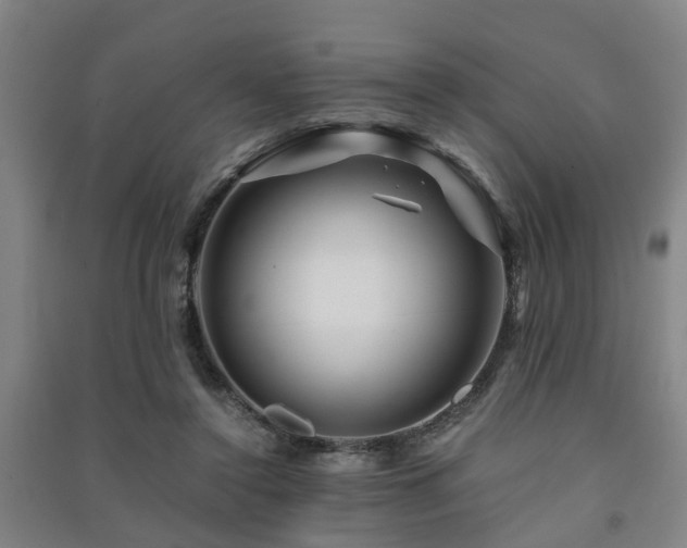 X0000091450356200708161302