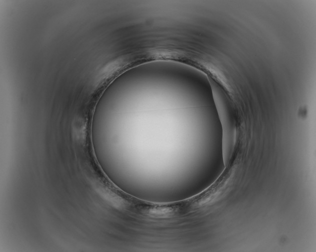 X0000091450357200708161302