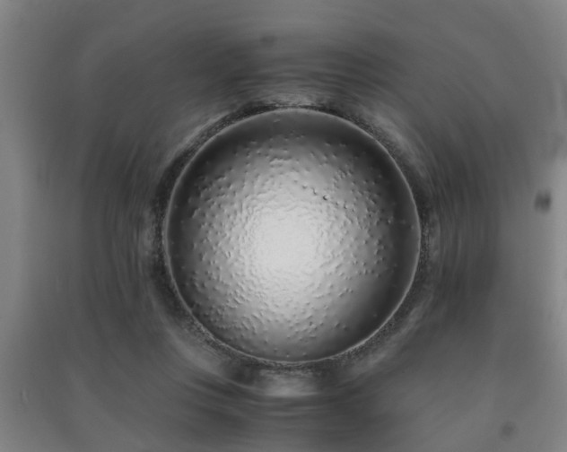 X0000091450359200708161302